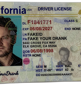 California Fake ID – Duplicates Included
