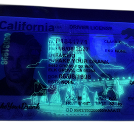 California Fake ID – Duplicates Included