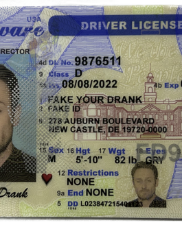 New Delaware Fake ID – Duplicates Included