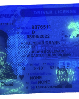 New Delaware Fake ID – Duplicates Included