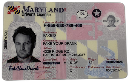 New Maryland Fake ID - Duplicates Included