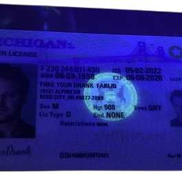 Michigan Fake ID – Duplicates Included