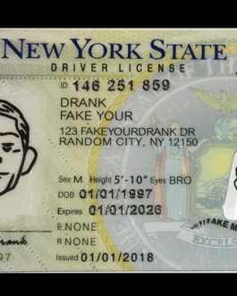 New York FAKE ID