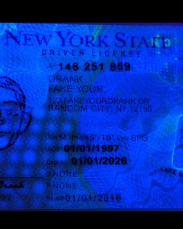 New York FAKE ID