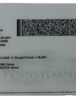 [New] Pennsylvania Fake ID – Duplicates Included